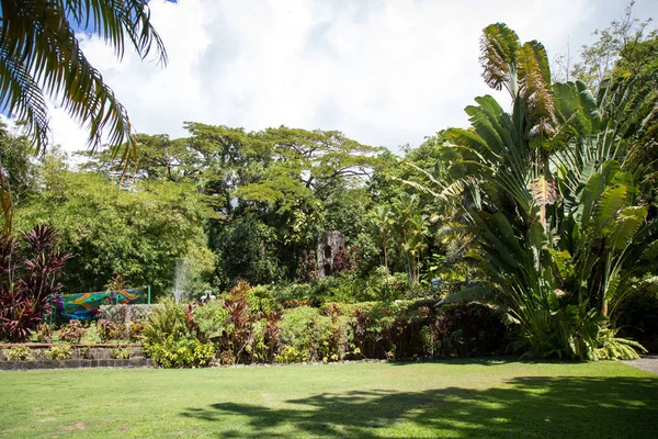 St. Kitts Romney Manor çevresinde bir yürüyüş zevk 