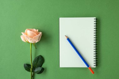 Beyaz boş sayfa, mavi kalem ve şeftali rengi gül içeren sarmal bir defter. Eski ahşap arka planda izole edilmiş. Boş boşluktaki şablonu düzenle.