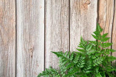 Kahverengi ahşap arka planda taze yağmur ormanları. Şablon tasarımını düzenle. Boşluğu kopyala