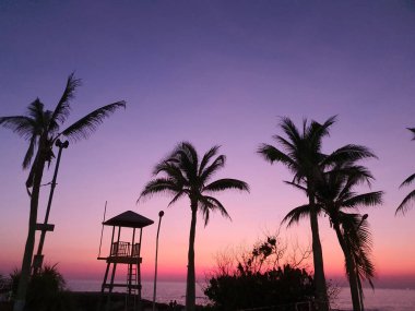 Uzun bir cankurtaran kulesinin siluetleri, hindistan cevizi ağaçları ve lambalar, akşamleyin deniz kıyısındaki portakal ve çivit ışıklarını karalar..