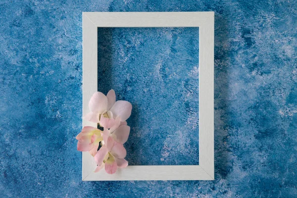 Μαλακό Ροζ Τροπικές Ορχιδέες Λευκό Ξύλινο Πλαίσιο Και Μπλε Και — Φωτογραφία Αρχείου