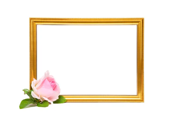 古色古香的金木框和美丽的粉红玫瑰 为文本创建带有复制空间的模板 白人背景 — 图库照片