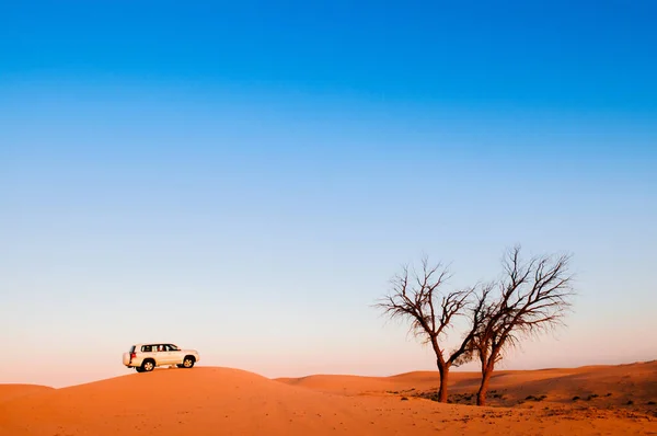阿布扎比Al Wathba的沙漠狩猎 — 图库照片