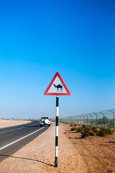 Camel Crossing Street Sign Abu Dhabi Desert — Stock Photo, Image