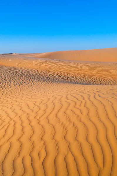 Wüste Abu Dhabis Heißt Wathba — Stockfoto