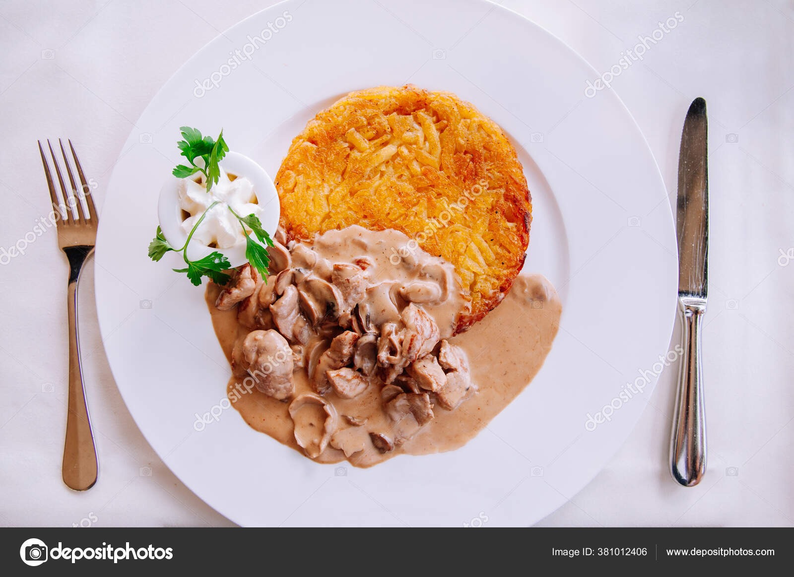 Zurich Style Veal Meat Stew Creamy Mushroom Gravy Sauce Fried — Stock