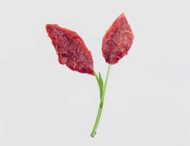 Yeni gıda yeniliği, In Vitro Meat ya da laboratuvar yapımı et. Hayvanın hücresinden üretiliyor, öldürmek yok..