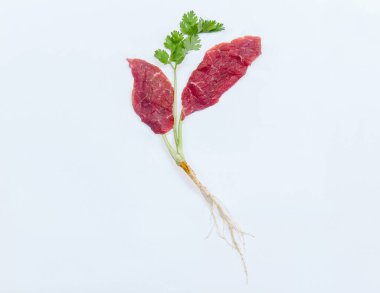 Yeni gıda yeniliği, In Vitro Meat ya da laboratuvar yapımı et. Hayvanın hücresinden üretiliyor, öldürmek yok..