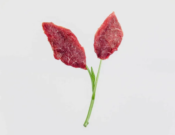 Yeni gıda yeniliği, In Vitro Meat ya da laboratuvar yapımı et. Hayvanın hücresinden üretiliyor, öldürmek yok..