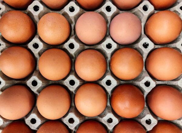 Brown Chicken eggs in paper box close up top view shot - Organic Farm fresh product
