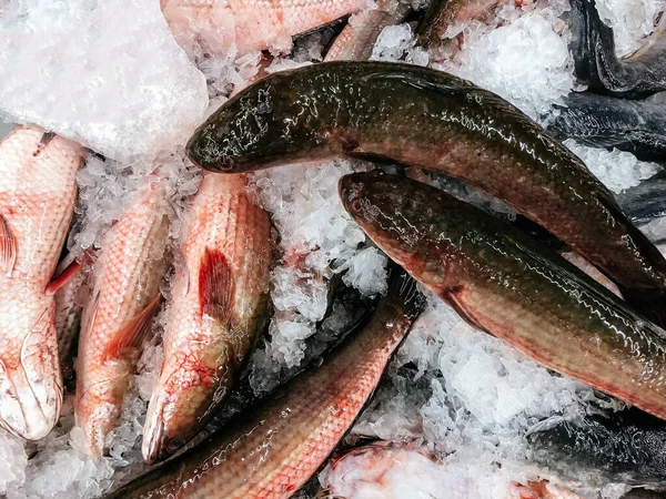 Cerrar Pescado Mar Fresco Asia Crudo Hielo Frío Vista Superior —  Fotos de Stock