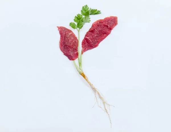 New food innovation, In Vitro Meat or Lab-grown meat. Producing from animal\'s cell, No killing.