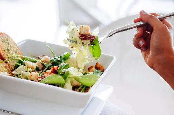 Kızarmış pastırmalı taze ıspanak salatası, çatallı kızarmış ekmek ve sarımsaklı peynir. Yakın çekim.