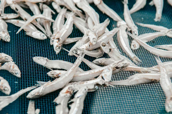 Proceso Elaboración Pescado Anchoa Secado Sol Salado Detalles Cerca Industria —  Fotos de Stock