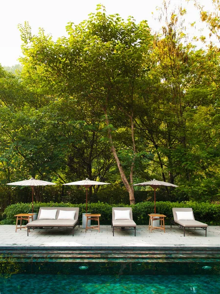 Resort style swimming pool in lush green forest