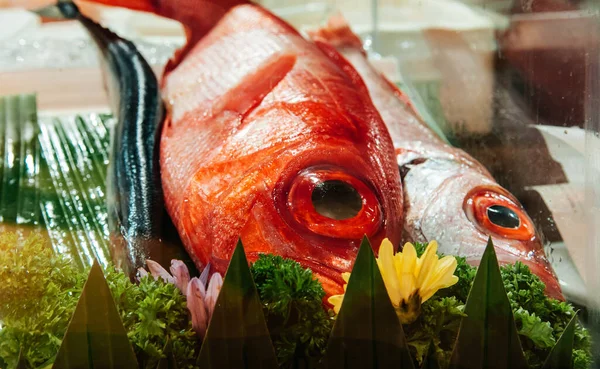 Grote Ogen Kinmedai Red Alfonsino Beryx Verse Vis Voor Japanse — Stockfoto