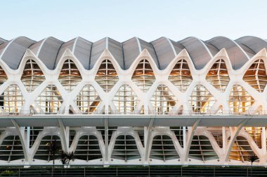 OCT 31, 2012 Valencia, İspanya - Modern Sanat ve Bilim Şehri Mimarisi. Santiago Calatrava ve Felix Candela tarafından tasarlanan mimari