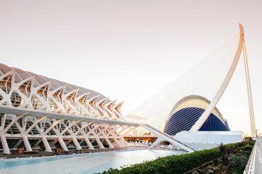 OCT 31, 2012 Valencia, İspanya - Gündoğumuna karşı Sanat ve Bilim Şehri 'nin Modern Mimarisi. Santiago Calatrava ve Felix Candela tarafından tasarlanan mimari