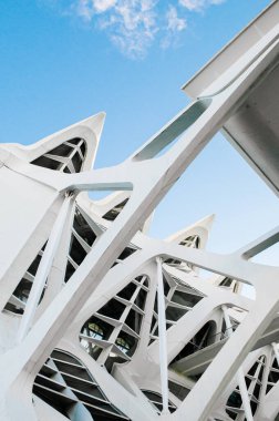 OCT 31, 2012 Valencia, İspanya - Modern Sanat ve Bilim Şehri Mimarisi. Santiago Calatrava ve Felix Candela tarafından tasarlanan mimari