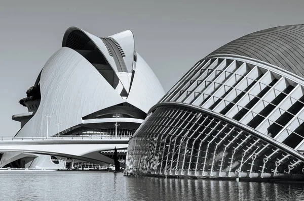 Oct 2012 Valencia Spain Modern Architecture City Arts Sciences Pool — Stock Photo, Image