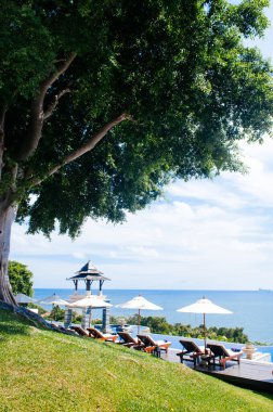 22 Mayıs 2014 Krabi, THAILAND - Deniz manzaralı, beyaz şemsiyeli ve güneşli büyük ağacın altındaki tepe üstü havuz, yazın Koh Lanta tropikal tatil beldesi