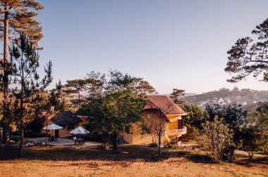 25 Şubat 2014, Dalat, Vietnam - Akşamüstü güneş ışığı altında eski Fransız Koloni Evi ve agave çalıları ile çam ormanı. Vietnam 'daki ünlü eski zaman hedefi