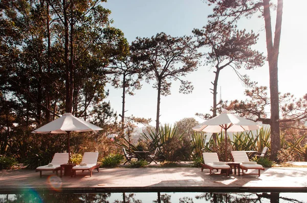Tropical resort style swimming pool in pine forest under sunlight with flare in late winter and white pool beds and umbrellas