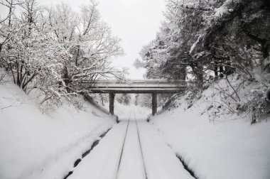 Beyaz Kar, Aomori, Tohoku, Japonya 'daki Tsugaru demiryolu hattını kapladı.