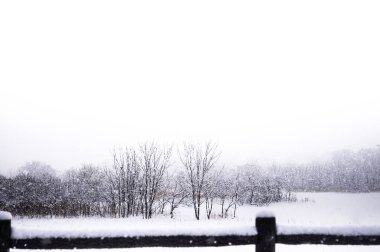Aomori 'nin beyaz karla kaplı kışın, Tohoku, Japonya