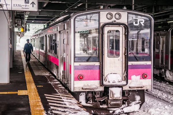 Ocak 2014 Hirosaki Aomori Japonya Kışın Hirosaki Stasyonu Nda Pembe — Stok fotoğraf