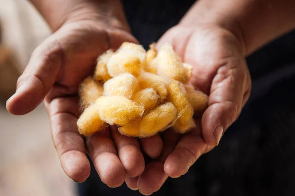 Detalles Los Capullos Seda Amarillo Brillante Natural Sericultura Tradicional Fabricación — Foto de Stock