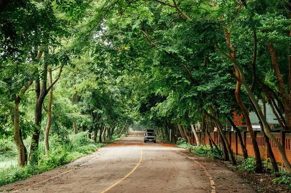 Lush fresh green tree tunnel and peaceful paved street with one car run toward camera