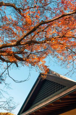 DEC 10, 2012 Omiya, Saitama, JAPAN - Bonsai köyündeki güzel eski Japon evi - Bonsai Four Seasons Evi - sonbahar akçaağacı olan turistik dinlenme evi