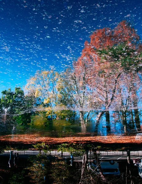 Bela Paisagem Outono Refletida Superfície Lagoa Árvores Coloridas Reflexão Floresta — Fotografia de Stock