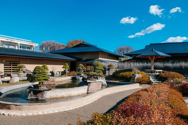 10 DEC, 2012 Omiya, Saitama, JAPAN - Japon Omiya Bonsai Müzesi Zen bahçesi Bonsai köyü manzara ve gölet manzarası
