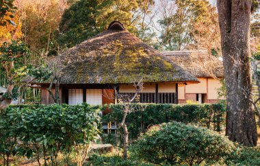 DEC 11, 2012 Chiba, JAPAN - Tokyo yakınlarındaki ünlü Edo Samuray köyü Sakura şehrindeki eski ahşap sazdan çatılı Japon Samuray evi ve bahçesi.