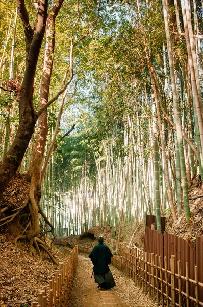 Человек Самурайском Костюме Прогуливается Зеленому Бамбуковому Лесу Маленькой Грязной Аллее — стоковое фото