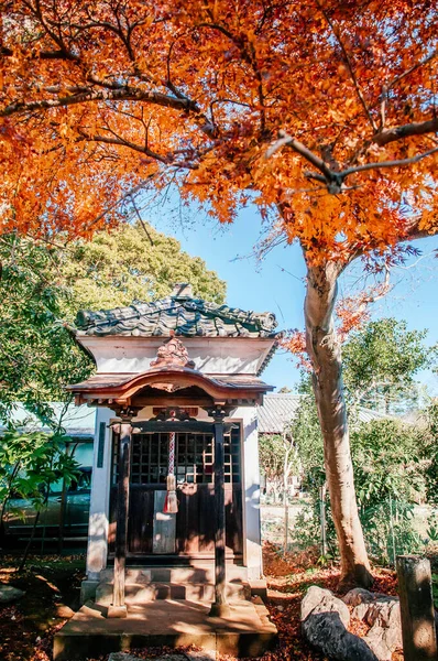 Dec 2012 Chiba Giappone Colorato Rosso Giallo Autunno Foglie Fogliame — Foto Stock