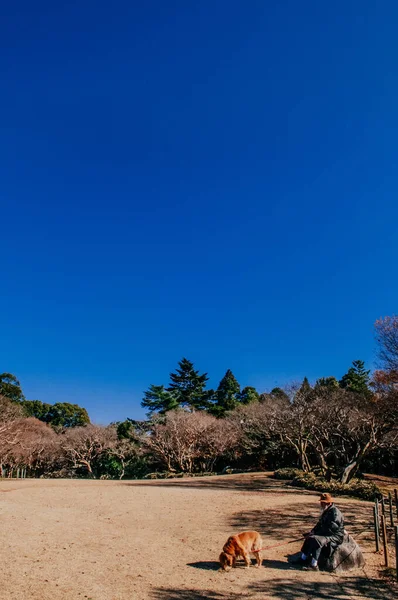 Dec 2012 Chiba Japan Starý Park Bývalého Hotta Samurai Domu — Stock fotografie