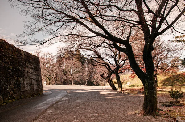 Dic 2018 Aizu Wakamatsu Japón Castillo Aizu Wakamatsu Tsuruga Alto —  Fotos de Stock