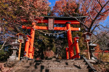 Red Torii gate of Chureito Pagoda Shrine entrance with stone steps under autumn maple tree Shimoyoshida - Arakurayama Sengen Park in Fujiyoshida near Kawaguchigo, Japanese words on wood plate is name of shrine clipart