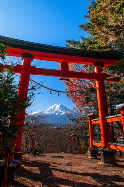 Chureito Pagoda ve Snow 'un kırmızı Torii kapısı merkezdeki mavi gökyüzünün altında Fuji Dağı' nı kapladı. Shimoyoshida - Kawaguchigo yakınlarındaki Fujiyoshida 'daki Arakurayama Sengen Parkı