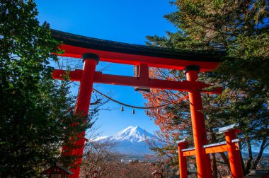 Chureito Pagoda ve Snow 'un kırmızı Torii kapısı merkezdeki mavi gökyüzünün altında Fuji Dağı' nı kapladı. Shimoyoshida - Kawaguchigo yakınlarındaki Fujiyoshida 'daki Arakurayama Sengen Parkı