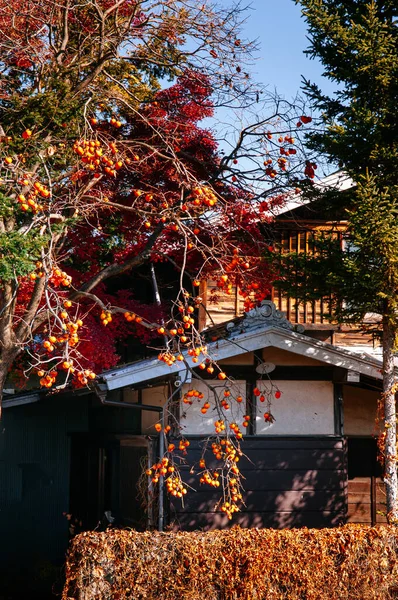 Nov 2018 Shimoyoshida Giappone Vecchia Casa Giapponese Stile Edo Tra — Foto Stock