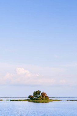 Nong Han Sakon Nakhon 'da sakin bir göl ve tropikal ağacı olan küçük bir ada..