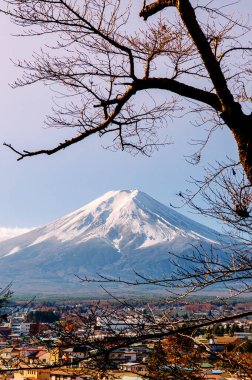 Kawaguchigo yakınlarındaki Fujiyoshida Fujiyoshida 'daki Chureito Pagoda Arakurayama Sengen Parkı' ndan görülen, kar ve mavi gökyüzü renkli sonbahar ağacıyla Fuji Dağı.