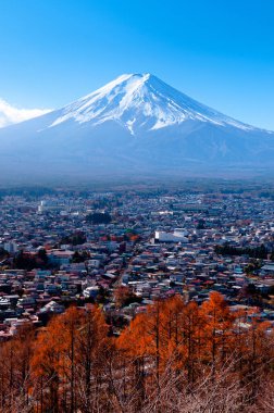 Kawaguchigo yakınlarındaki Fujiyoshida Fujiyoshida 'daki Chureito Pagoda Arakurayama Sengen Parkı' ndan görülen, kar ve mavi gökyüzü renkli sonbahar ağacıyla Fuji Dağı.