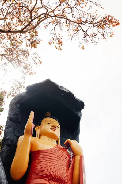 Sri Lanka Stil Stående Stora Buddha Skulptur Mot Himlen Träd — Stockfoto