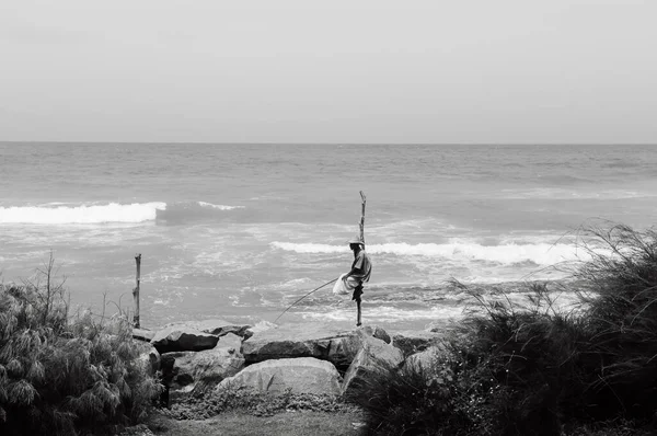 Jul 2012 Weligama Galle Sri Lanka Stilt Fishing Habilmente Sul — Fotografia de Stock