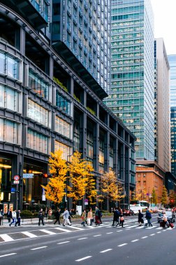 DEC 6, 2019 Tokyo, Japonya - Daimyo - Koji Avenue Marunouchi İlçe Tokyo Sonbaharda şehir merkezinde yaya geçidinde birçok kişi ile